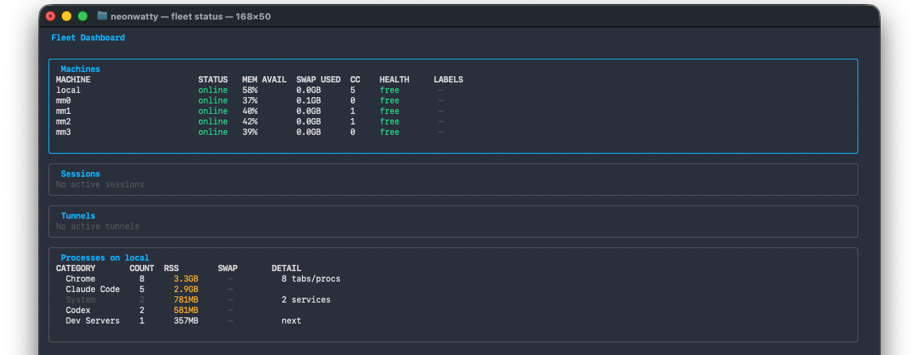 Fleet terminal dashboard showing machine health, sessions, tunnels, and process groups.